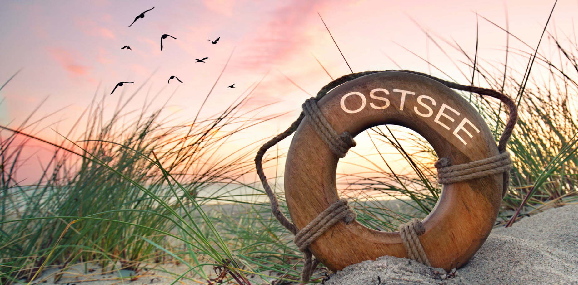 Rettungsring mit der Aufschrift "OSTSEE" liegt im Sand, umgeben von Gras, im Hintergrund fliegende Vögel und ein Sonnenuntergang.