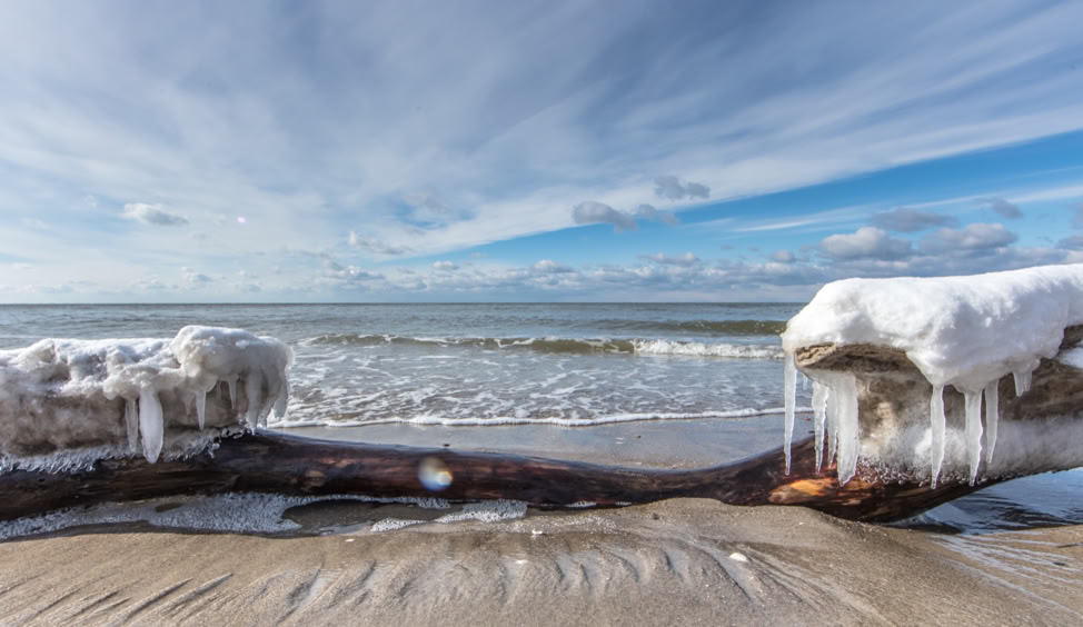 Verschneiter Strand mit einem gefrorenen Baumstamm im Vordergrund und Meer im Hintergrund.