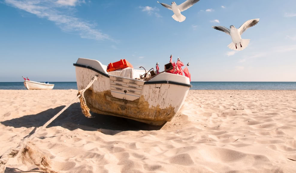 Ein Boot liegt auf einem sandigen Strand, mit zwei fliegenden Möwen im blauen Himmel.