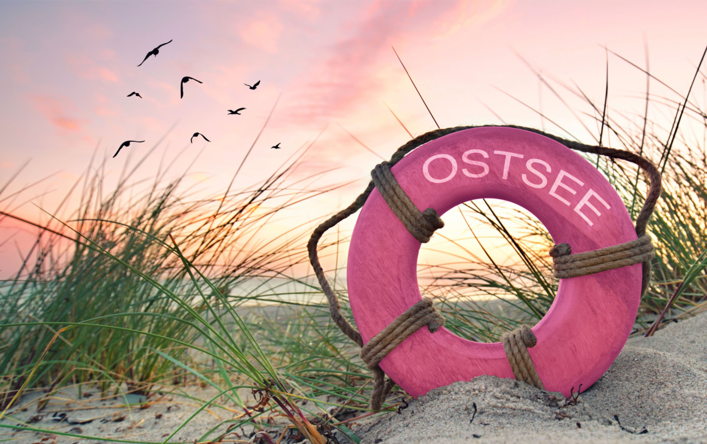Rosa Rettungsring mit der Aufschrift "Ostsee" liegt im Sand, umgeben von Dünengras, im Hintergrund ein Sonnenuntergang und fliegende Vögel.