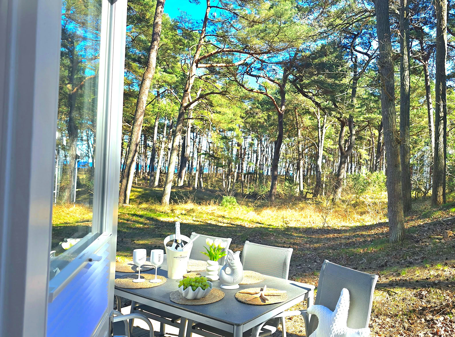 Sonnige Terrasse mit Sitzbereich in ruhiger Waldlage, umgeben von hohen Kiefern. Zwischen den Bäumen eröffnet sich ein Blick auf das blaue Meer.