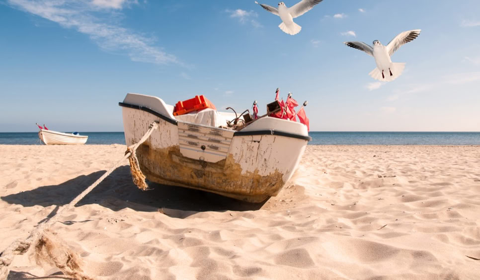 Ein Boot liegt auf einem sandigen Strand, mit zwei fliegenden Möwen im blauen Himmel.