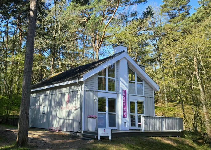 Ein modernes Haus mit großen Fenstern in einem Waldgebiet, umgeben von Bäumen.