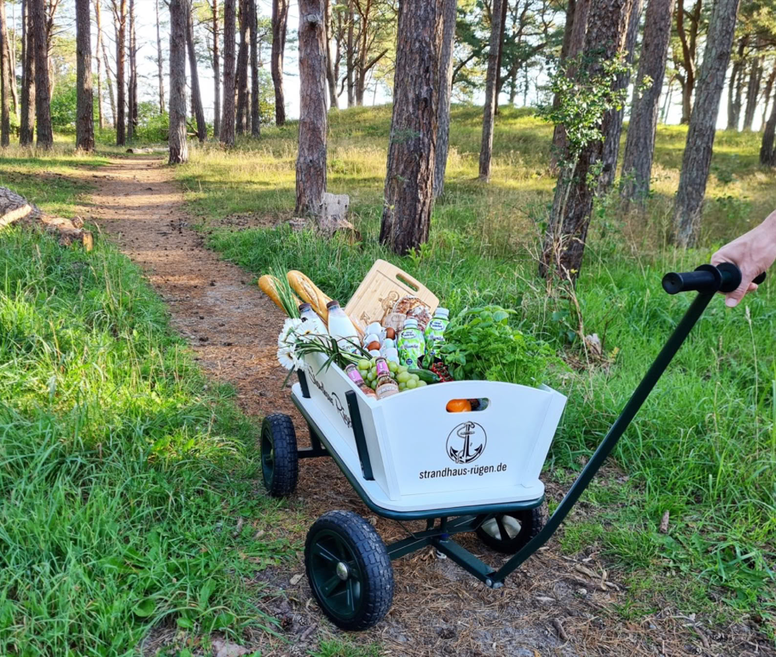 Ein Handwagen mit Blumen und Baguette wird auf einem Waldweg gezogen.